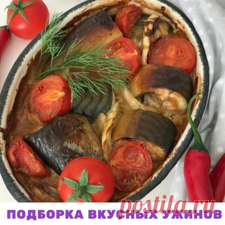 ПОДБОРКА ВКУСНЫХ УЖИНОВ
 Ужин для худеющих всегда большое испытание. Именно вечером чаще всего происходят срывы. Ведь многие, желая сбросить вес, на ужин готовят что-то легкое, ошибочно считая, что вечером нам не нужна энергия. А кто-то не ест после 18. Другие на ужин оставляют  легкий овощной салат.

  Дорогие  мои, запомните: это одна из самых частых ошибок, ведущих к срывам, из-за которых вы потом ночью обнаруживаете себя в бессознательном состоянии у холодильника, доед...