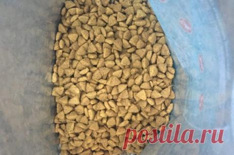 Россельхознадзор сообщил о приостановке ввоза кормов Hill`s из Италии. Корма итальянской компании Hill’s временно не будут поставляться в Россию.