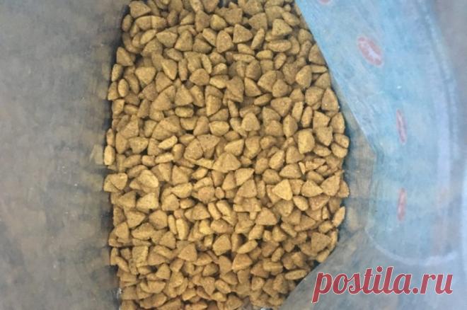 Россельхознадзор сообщил о приостановке ввоза кормов Hill`s из Италии. Корма итальянской компании Hill’s временно не будут поставляться в Россию.