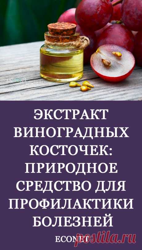 Экстракт виноградных косточек: природное средство для профилактики болезней

Виноград – один из наиболее вкусных и питательных фруктов. Но пользу можно получить не только от ягод: косточки содержат большое количество ценных микроэлементов, аминокислот и натуральных танинов. Они используются для изготовления пищевых добавок и косметических омолаживающих средств.