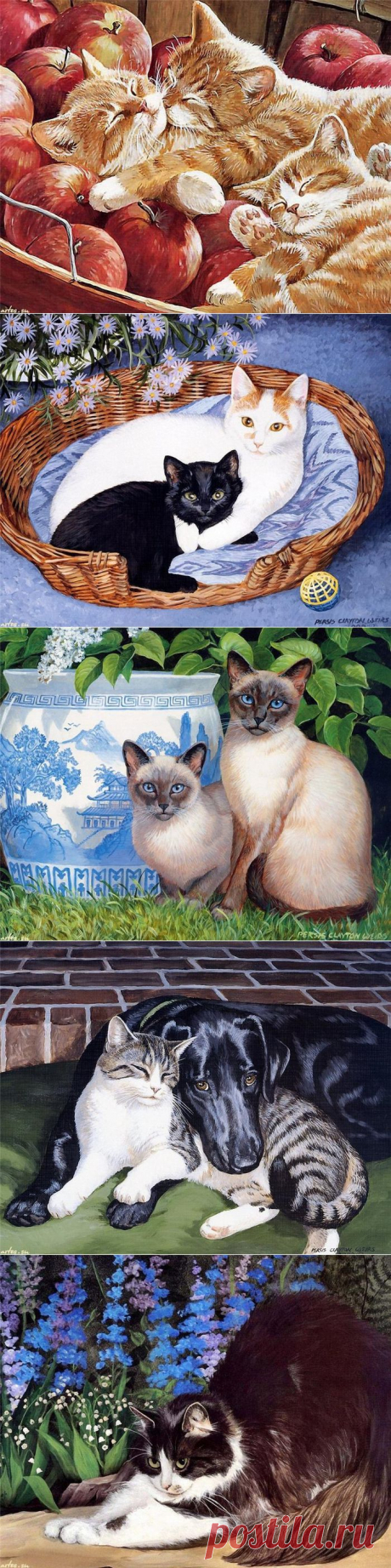 Иллюстрации кошек от Persis Clayton Weirs.