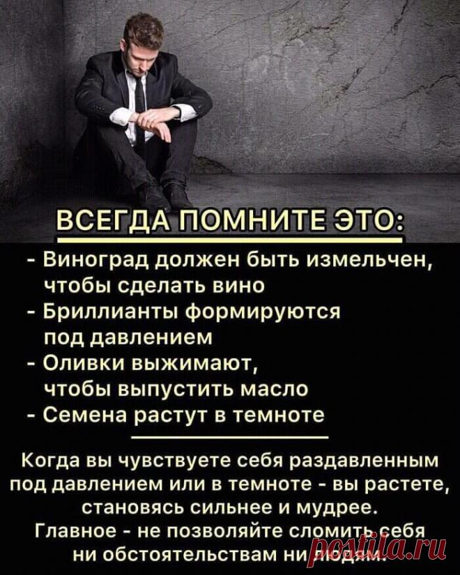 Афоризмы и цитаты | Записи в рубрике Афоризмы и цитаты | Дневник Yuriy -Dudanov SU