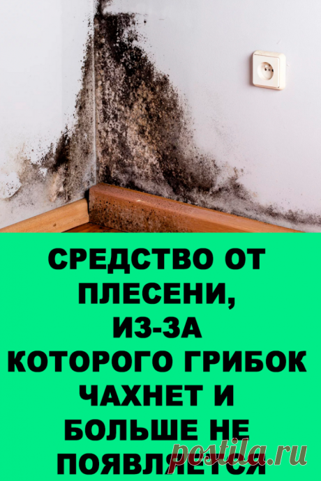 Средство от плесени, из-за которого грибок больше не появляется… — Женские Советы