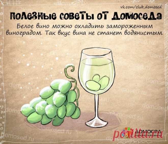 Очень полезные советы в картинках | Colors.life