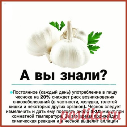 Полезные свойства чеснока:
