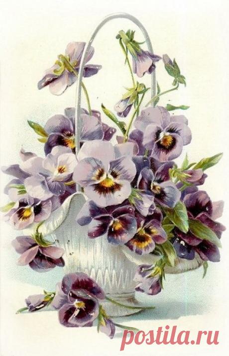 Винтажные открытки.