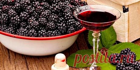 Здоровый организм человека сам регулирует вязкость крови, так запрограммировано природой. Являясь жизненно важной средой, кровь выполняет транспортную, терморегулирующую, защитную, гуморальную функцию.