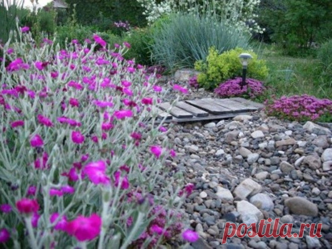 Цветочный ручей — украшение для дачи — 6 соток