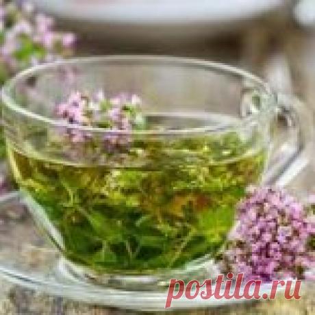 Полезные свойства чабреца для организма человека