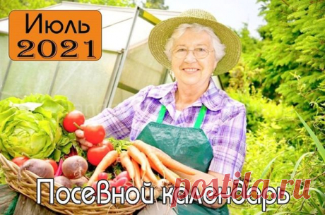 Лунный посевной календарь на июль 2021 для садовода, огородника и цветовода