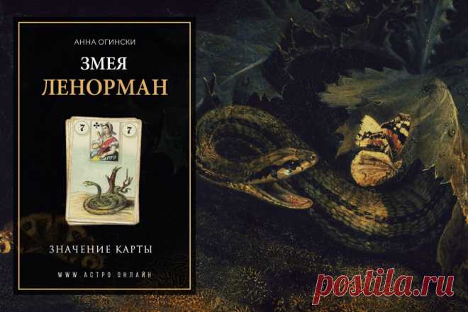 Значение карты Ленорман: Змея