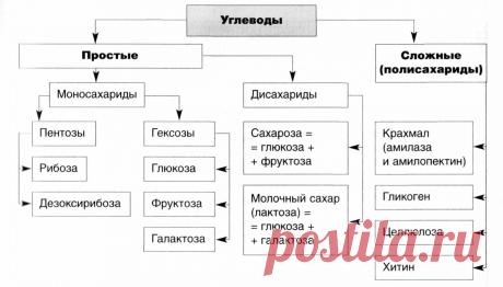 Pu0BXO3rOX0.jpg (1280×728)