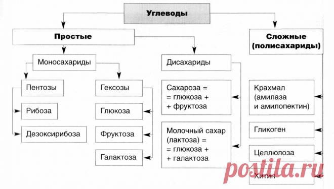 Pu0BXO3rOX0.jpg (1280×728)