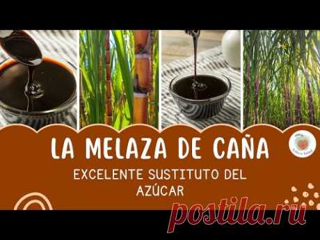 LA MELAZA o MIEL DE CAÑA para Qué Sirve