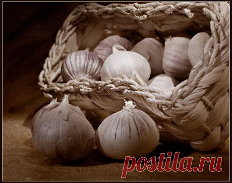 Чеснок. Необычный способ