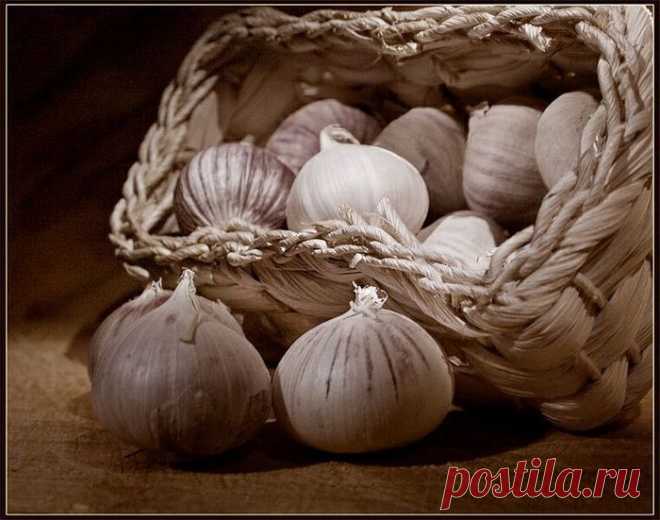 Чеснок. Необычный способ