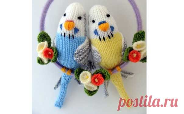 Вязаные волнистые попугаи