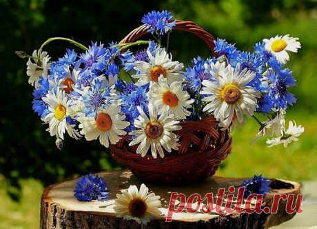 (21) Одноклассники