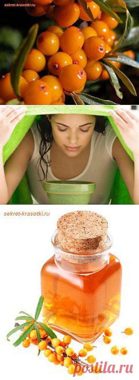 Облепиха для Вашей красоты | Секрет красотки