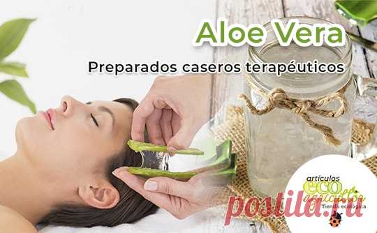 Aloe Vera o Sábila, 33 propiedades y usos medicinales ✅ Propiedades del Aloe Vera. ¿Lo sabes todo sobre el aloe vera? ¡Todavía puede impresionarte! 🤫Lista completa de 33 propiedades y usos medicionales del Aloe Vera (algunas de ellos todavía desconocidos).