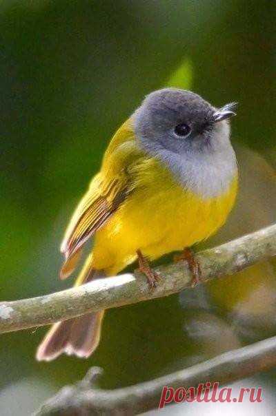 Береги тепло своей души .