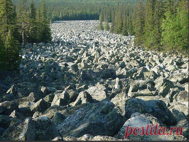 Флария )
Россия, Россия