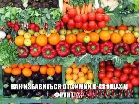 КАК ИЗБАВИТЬСЯ ОТ ХИМИИ В ОВОЩАХ И ФРУКТАХ? КАК ИЗБАВИТЬСЯ ОТ ХИМИИ В ОВОЩАХ И ФРУКТАХ?От нитратов и пестицидов можно частично избавиться: для этого овощи и фрукты нужно правильно вымыть и очистить.КАПУСТА. Большая часть нитратов содержится в в…