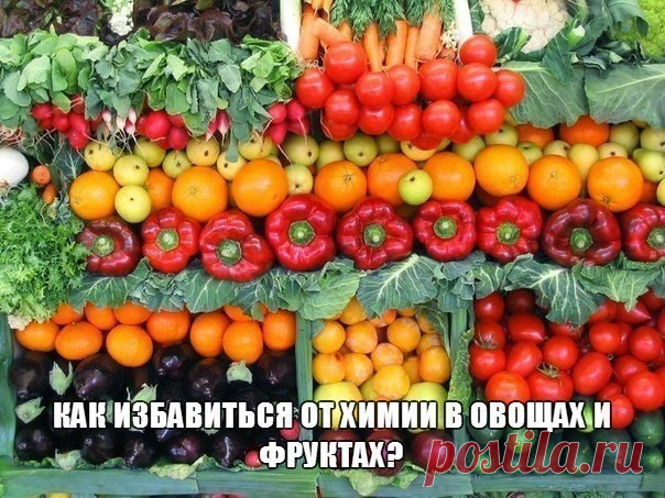 КАК ИЗБАВИТЬСЯ ОТ ХИМИИ В ОВОЩАХ И ФРУКТАХ? КАК ИЗБАВИТЬСЯ ОТ ХИМИИ В ОВОЩАХ И ФРУКТАХ?От нитратов и пестицидов можно частично избавиться: для этого овощи и фрукты нужно правильно вымыть и очистить.КАПУСТА. Большая часть нитратов содержится в в…
