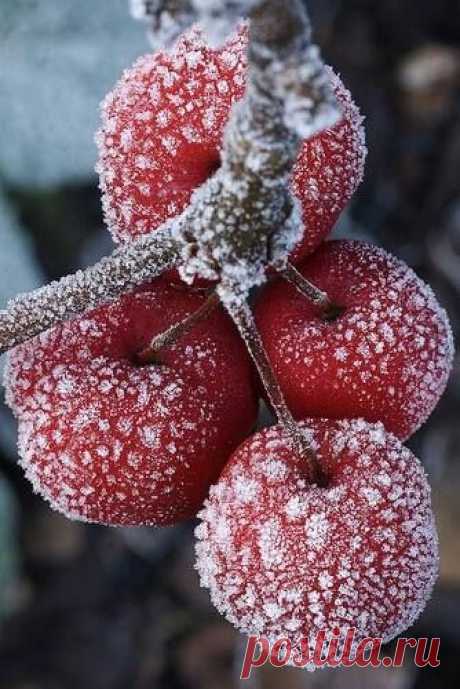 ~Winter Red