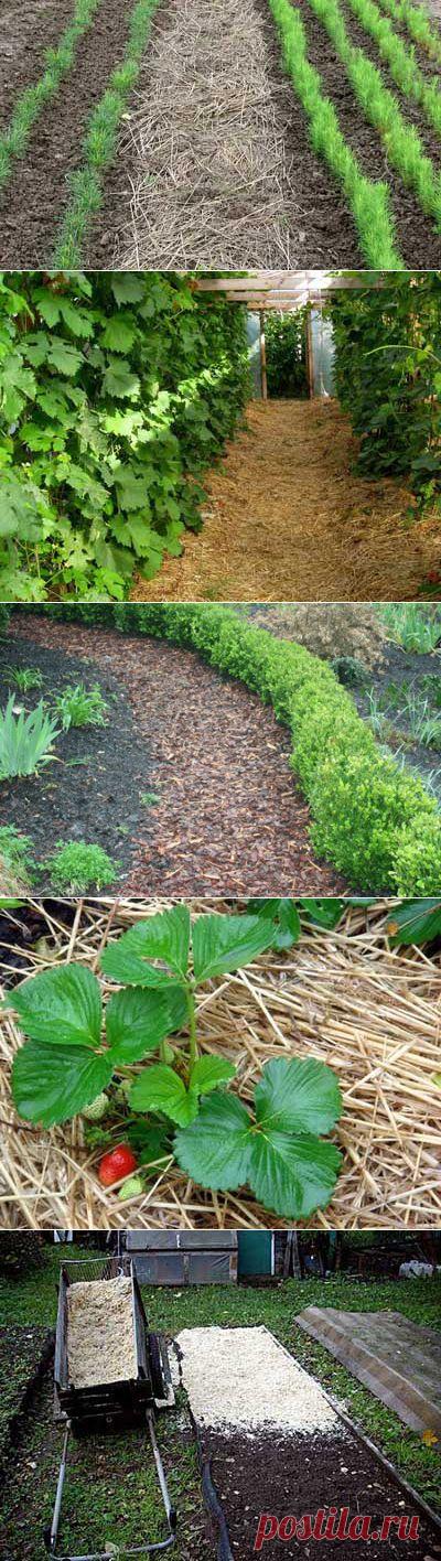 Какие существуют материалы для мульчирования? | Мое подворье