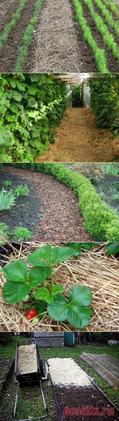 Какие существуют материалы для мульчирования? | Мое подворье