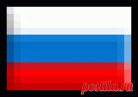Опоры для растений — 6 соток