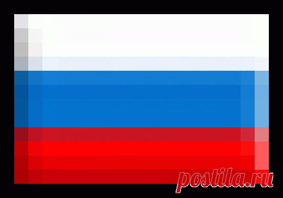 Способ выращивания крепкой рассады, из опыта огородников — 6 соток