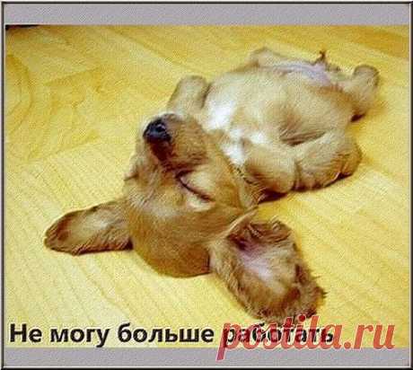 Одноклассники