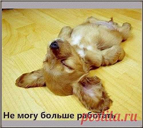 Одноклассники