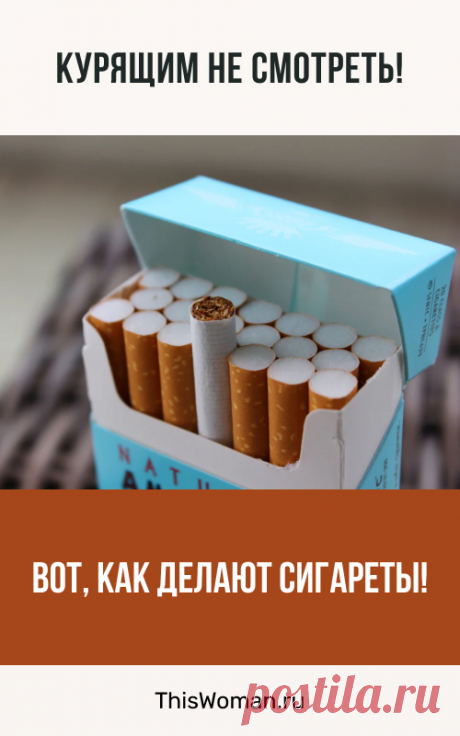 Как делают сигареты. Курящим не смотреть!