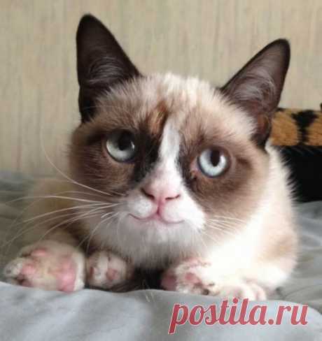 Улыбнитесь! / Приколы