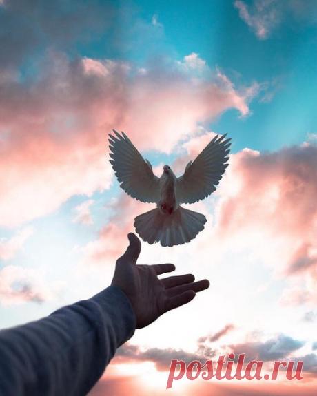 Нет, память не убить. её не затоптать И вместе с прошлым никуда не спрятать… И если, временами, она может помолчать, То может болью и ударить нас внезапно. И неподвластна нам она ни в чём… Не выбирая подходящих времени и места, Напомнит о таком немыслимо больном Вдруг чьим-то взглядом, словом или жестом… И снова в пропасть, и в глухую темноту… И снова, как тогда, от боли умираем… Зачем-то Бог дал жизнь такую… ту, Где горе никогда не забывают…