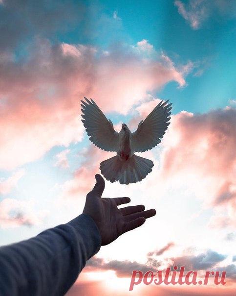 Нет, память не убить. её не затоптать И вместе с прошлым никуда не спрятать… И если, временами, она может помолчать, То может болью и ударить нас внезапно. И неподвластна нам она ни в чём… Не выбирая подходящих времени и места, Напомнит о таком немыслимо больном Вдруг чьим-то взглядом, словом или жестом… И снова в пропасть, и в глухую темноту… И снова, как тогда, от боли умираем… Зачем-то Бог дал жизнь такую… ту, Где горе никогда не забывают…