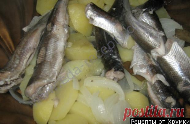 Рыба ряпушка по карельски .
