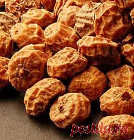 Чуфа. Очень продуктивное растение от природы. - Садоводка