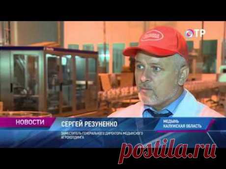Малые города России: Медынь - здесь уже 6 веков занимаются бортничеством - сбором дикого меда