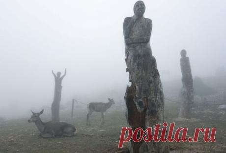 Πάρνηθα: Ελάφια στην ομίχλη - 10 φωτογραφίες βγαλμένες από τα παραμύθια