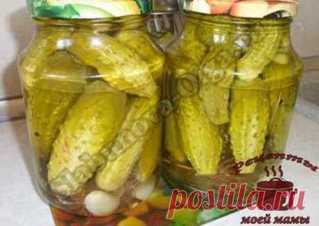 Маринованные огурцы в «Пражской» заливке из СССР - пошаговый рецепт с фото. Автор рецепта Ирина Карпухина . - Cookpad