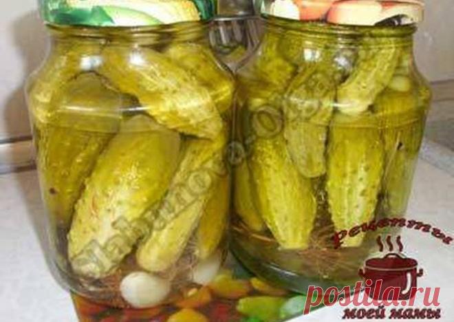 Маринованные огурцы в «Пражской» заливке из СССР - пошаговый рецепт с фото. Автор рецепта Ирина Карпухина . - Cookpad