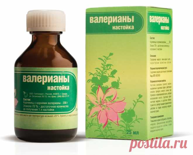 Валерьянку держу не только для себя, но и для капусты 
Капусту я не выращивала много лет. А все потому, что постоянно ее кто-то ел: то блошка дырок в листьях понаделает, то гусеницы ходы выгрызут, то слизни оставят на ней свои серебристые отвратительные …