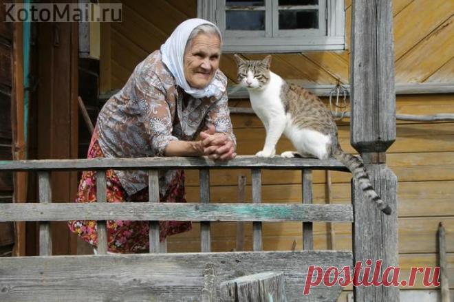 Вот! Такая жизнь! | KotoMail.ru