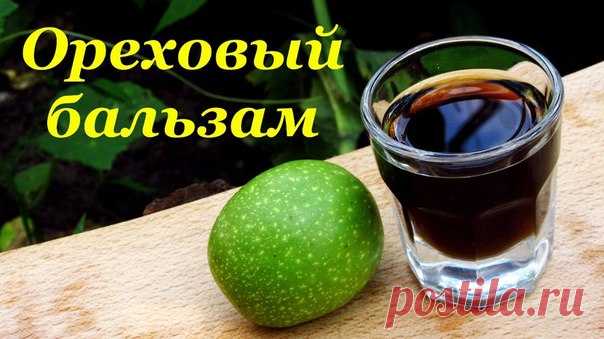 БАЛЬЗАМ ИЗ ЗЕЛЕНЫХ ГРЕЦКИХ ОРЕХОВ – 