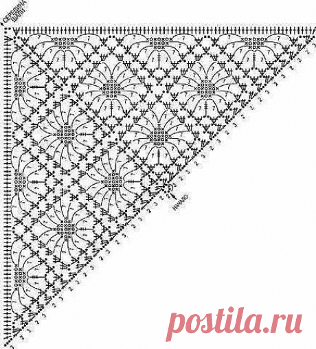 (11) Одноклассники