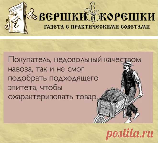 (59) Одноклассники